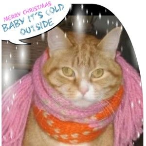 Meet your Posher, Cherylin